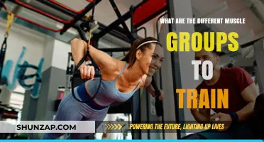 Mastering Muscle Groups: A Comprehensive Guide to Targeted Training