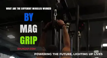 Mag Grip Muscles: Targeted Workout Benefits Explained