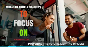 Mastering Muscle Groups: Targeted Training for Optimal Strength and Tone