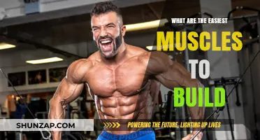 Unlocking Your Body's Potential: The Simplest Muscles to Develop