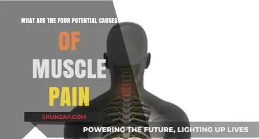 Muscle Pain Triggers: Four Key Causes