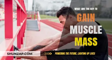 Unlocking Muscle Growth: Essential Strategies for Building Mass Effectively