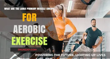 Primary Muscle Groups Powering Aerobic Exercise: A Comprehensive Guide