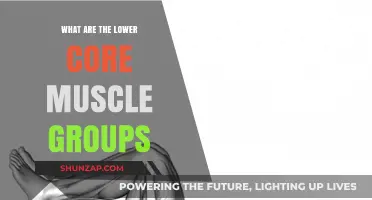 Understanding Your Lower Core: Key Muscle Groups Explained