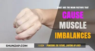 Muscle Imbalances: Causes and Factors to Consider