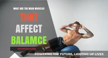 Core Strength and Stability: Muscles That Influence Balance
