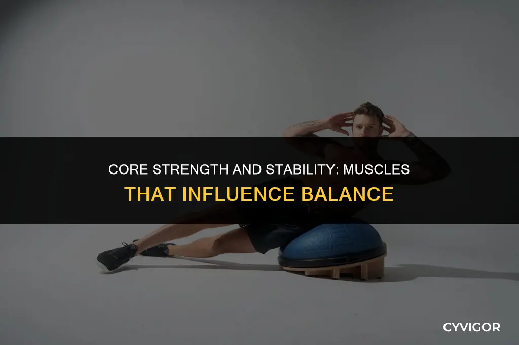 what are the main muscles that affect balamce
