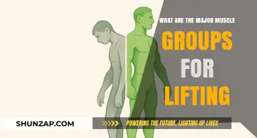Mastering Lifts: Key Muscle Groups for Strength and Power