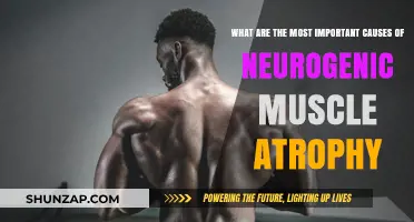 Understanding Muscle Atrophy: Neurogenic Causes and Effects