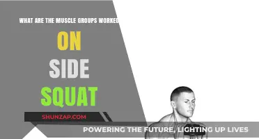 Side Squat Benefits: Targeted Muscle Groups for Strength and Stability