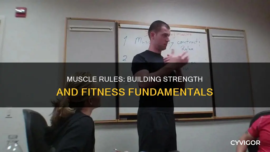 what are the muscle rules