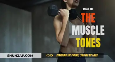How Muscle Tone Defines Your Body's Shape and Health