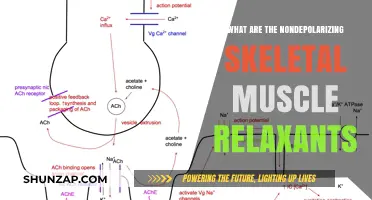 Understanding Nondepolarizing Skeletal Muscle Relaxants: Uses, Mechanism, and Effects