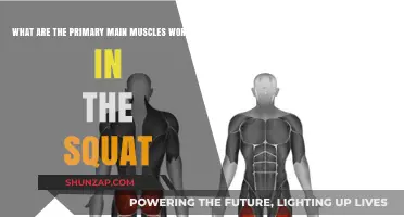 Squat Muscles: Unlocking the Key Players in This Powerful Exercise