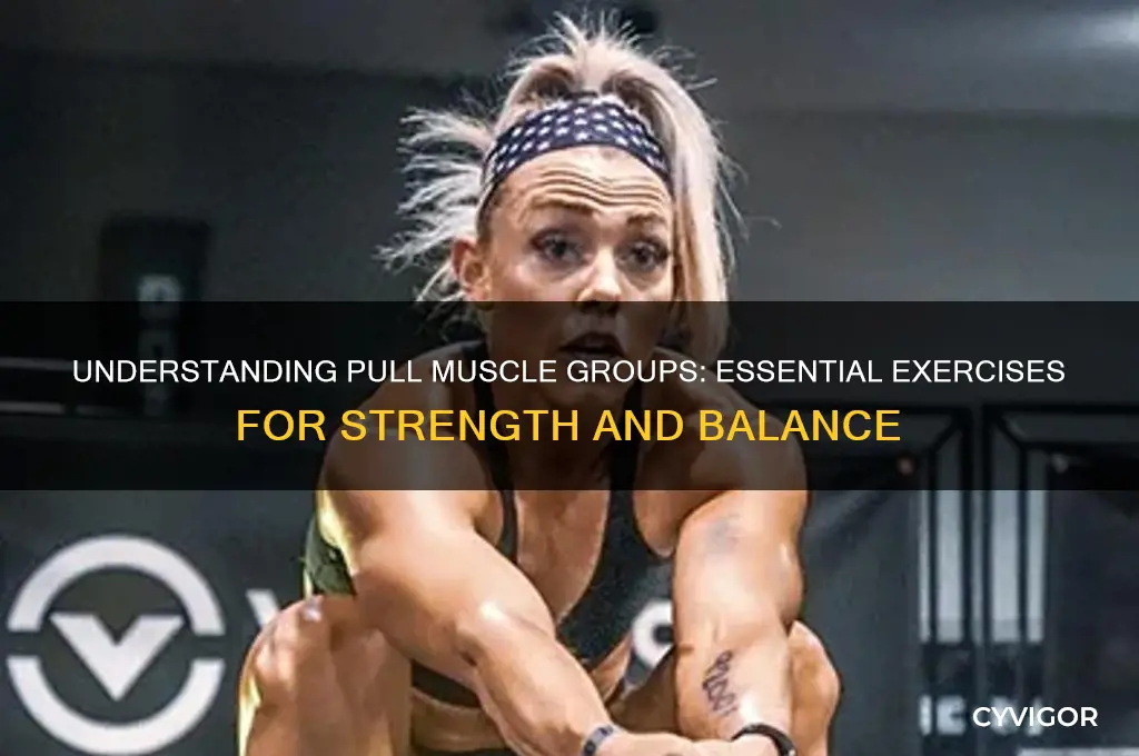 what are the pull muscle groups