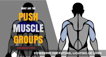 Mastering Push Muscles: Essential Groups for Strength and Balance