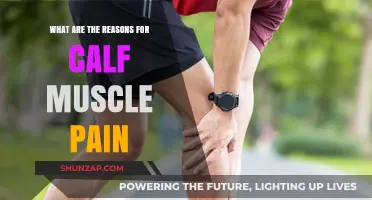 Understanding Calf Muscle Pain: Causes, Prevention, and Effective Relief Strategies