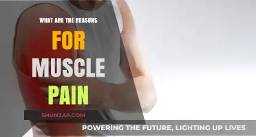 Understanding Muscle Pain: Common Causes and Contributing Factors Explained