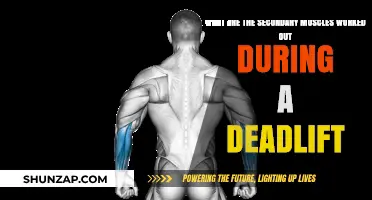 Deadlift Benefits: Secondary Muscles Engaged During This Powerful Lift