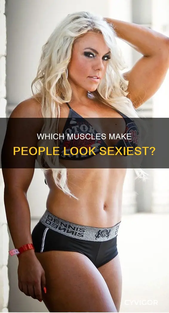 what are the sexiest muscles