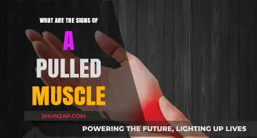Recognizing Pulled Muscle Symptoms: Key Signs and Immediate Actions