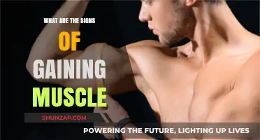 Recognizing Muscle Growth: Key Signs of Gaining Strength and Size