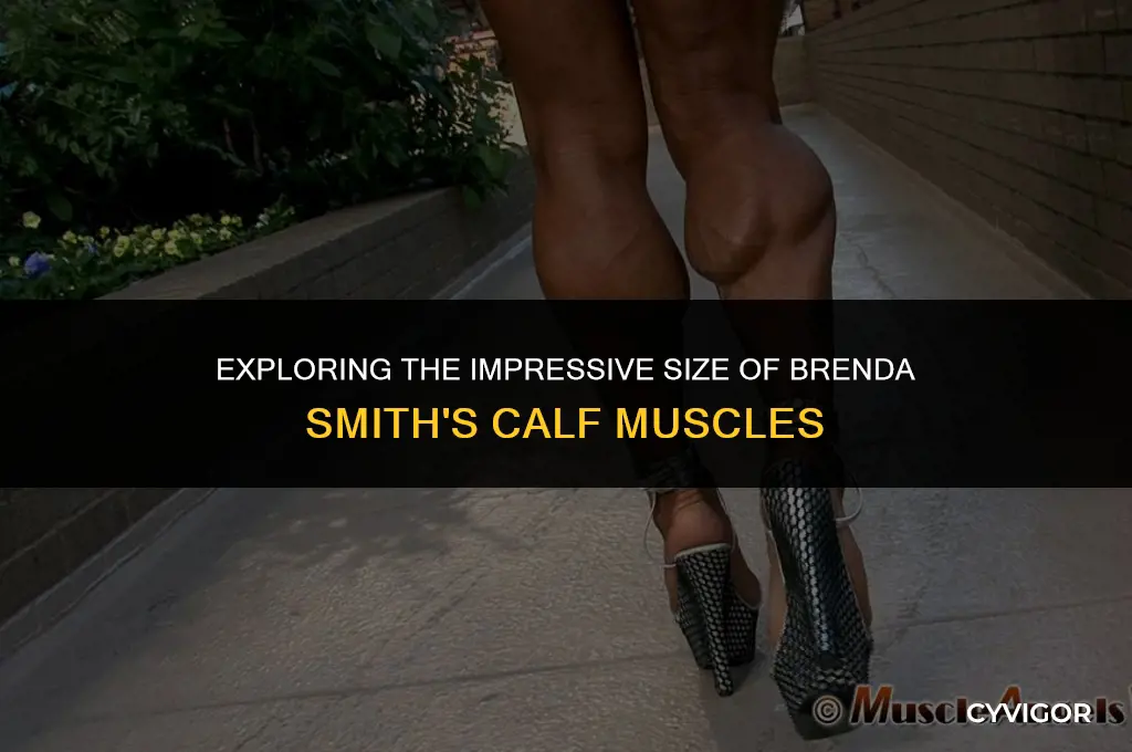 what are the size of brenda smith