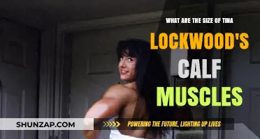 Exploring the Impressive Calf Muscles of Tina Lockwood