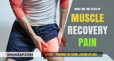Understanding Muscle Recovery Pain: Stats, Causes, and Effective Relief Strategies