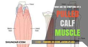 Pulled Calf Muscle Symptoms: Recognizing Pain, Swelling, and Limited Mobility