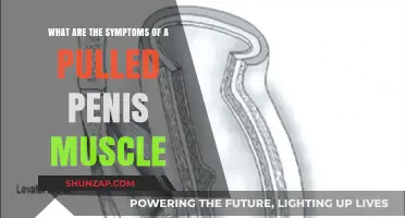 Pulled Penis Muscle Symptoms: Identifying Pain and Discomfort