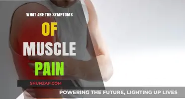 Understanding Muscle Pain: Common Symptoms and When to Seek Help