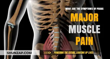 Understanding Psoas Major Muscle Pain: Symptoms and Warning Signs