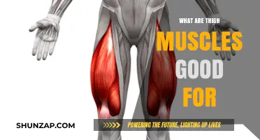 Unlocking the Power of Your Thigh Muscles: A Comprehensive Guide