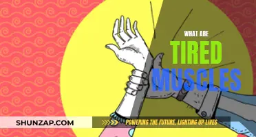 Muscle Fatigue: Understanding Tired Muscles