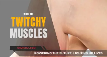The Mystery of Twitchy Muscles Explained