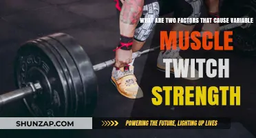 Muscle Twitch Strength: Factors and Variability
