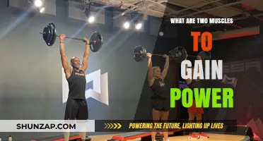 Boost Your Power: Key Muscles for Strength and Performance