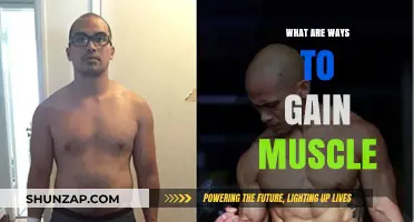 Effective Strategies for Building Muscle Mass and Strength