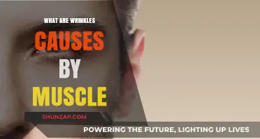 Wrinkles and Muscles: Understanding the Link