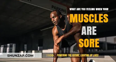 Understanding Muscle Soreness: Decoding the Pain and Recovery Process