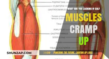 Unveiling the Hidden Culprits Behind Calf Muscle Cramps
