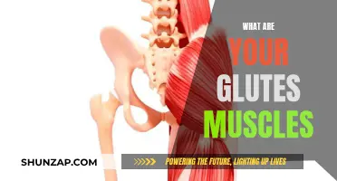 Glute Muscles: What Are They and Why Train Them?