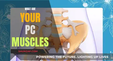 Unlocking the Power of PC Muscles