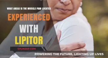 Lipitor Muscle Pain: Where Does It Typically Occur?