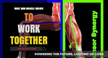 Synergistic Arm Muscles: Understanding Group Workouts for Optimal Strength