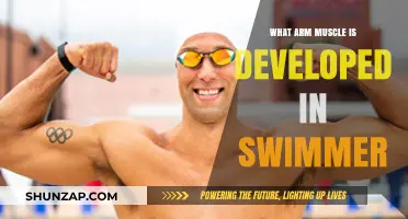 Swimming's Secret: Which Arm Muscles Get the Most Workout?
