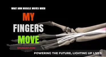 How Finger Movements Engage Forearm Muscles: Unveiling the Connection