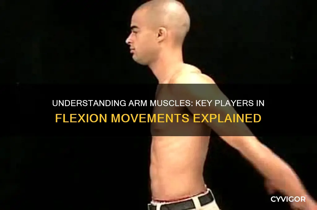 what arm muscle works with flexion