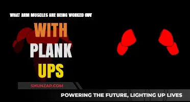 Plank Ups: Targeted Arm Muscles and Benefits Explained